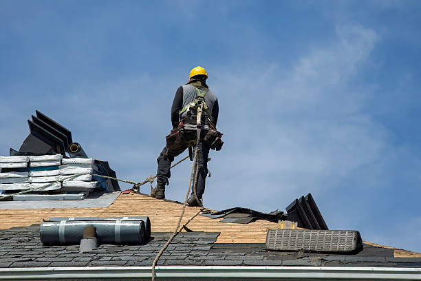 Professional Storm Damage Roof Repair technician working in Arcola, IL
